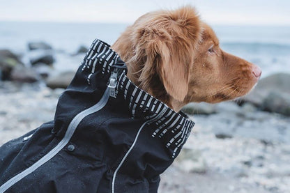 Hurtta Raven Downpour Dog Suit