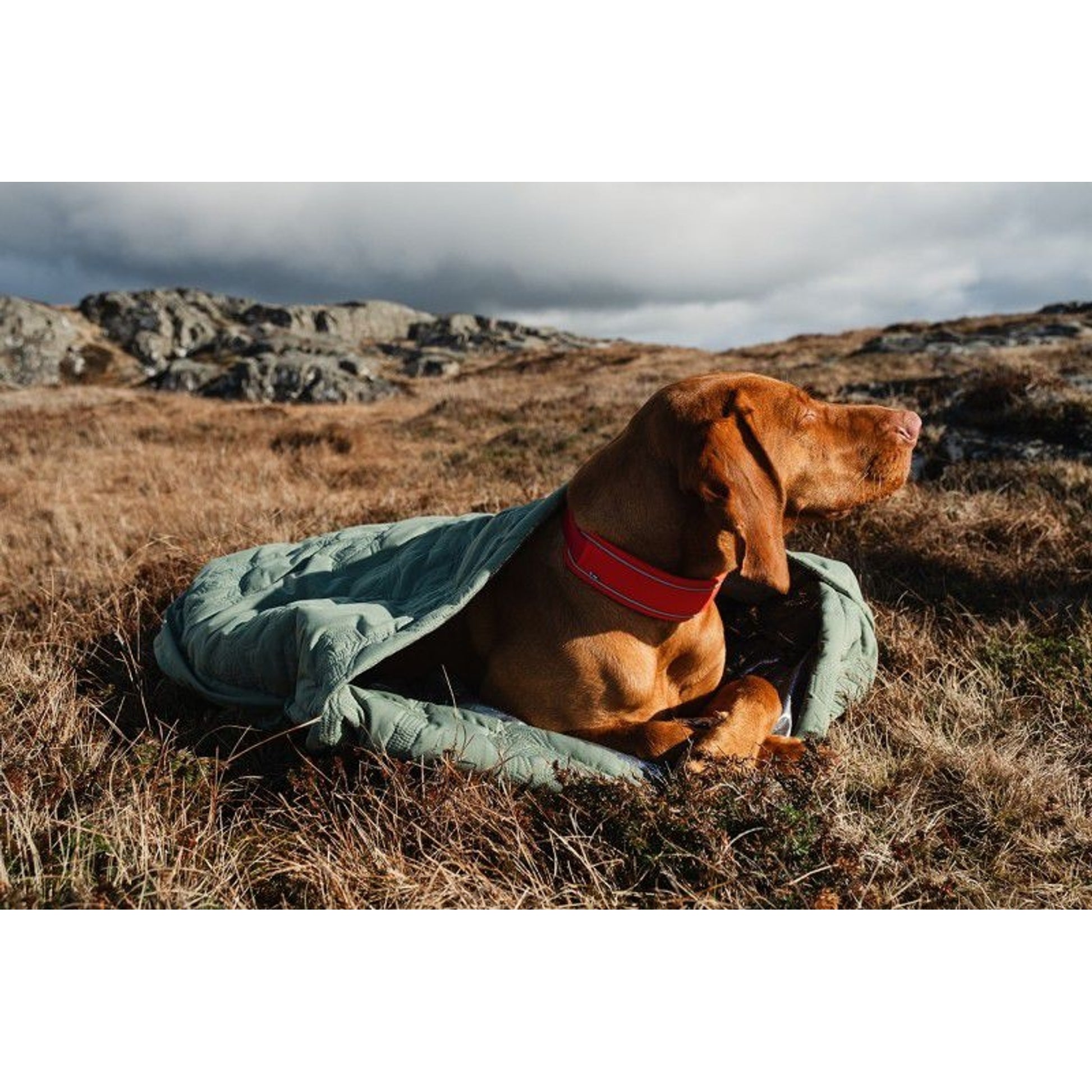 Hurtta Hedge Outback Dreamer ECO Dog Bed