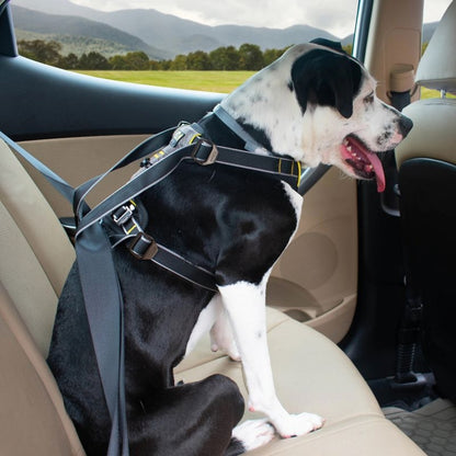 Kurgo Impact Dog Seatbelt Harness
