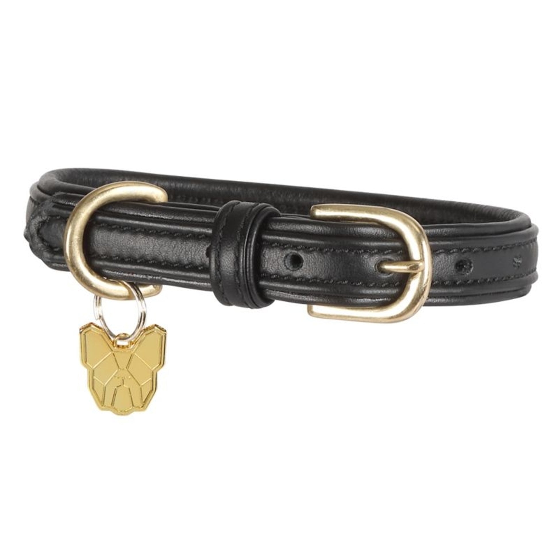 Shires Digby Fox Padded Leather Dog Collar