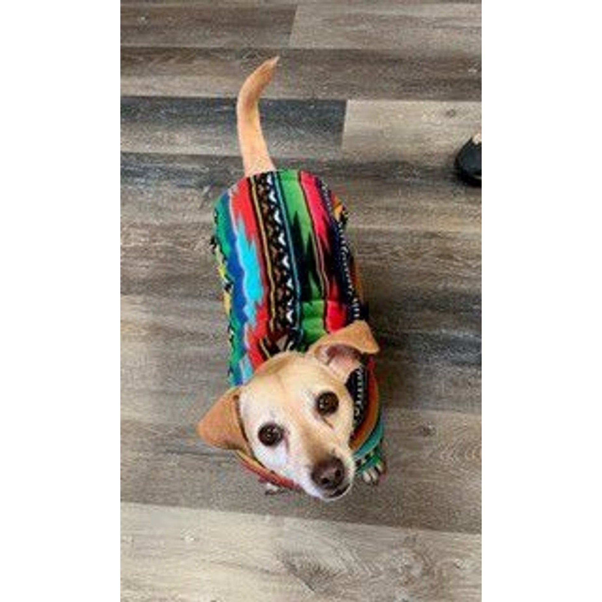 Snugpups Baja Fleece Dog Coat