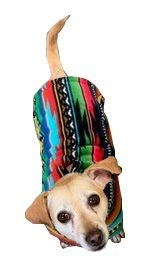 Snugpups Baja Fleece Dog Coat