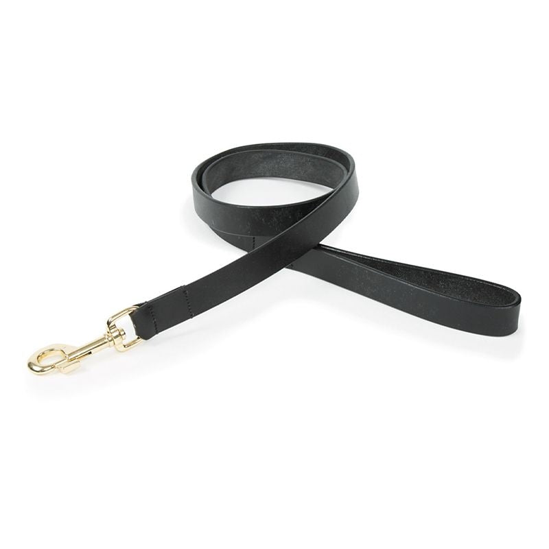 Shires Digby Fox Flat Leather Dog Lead