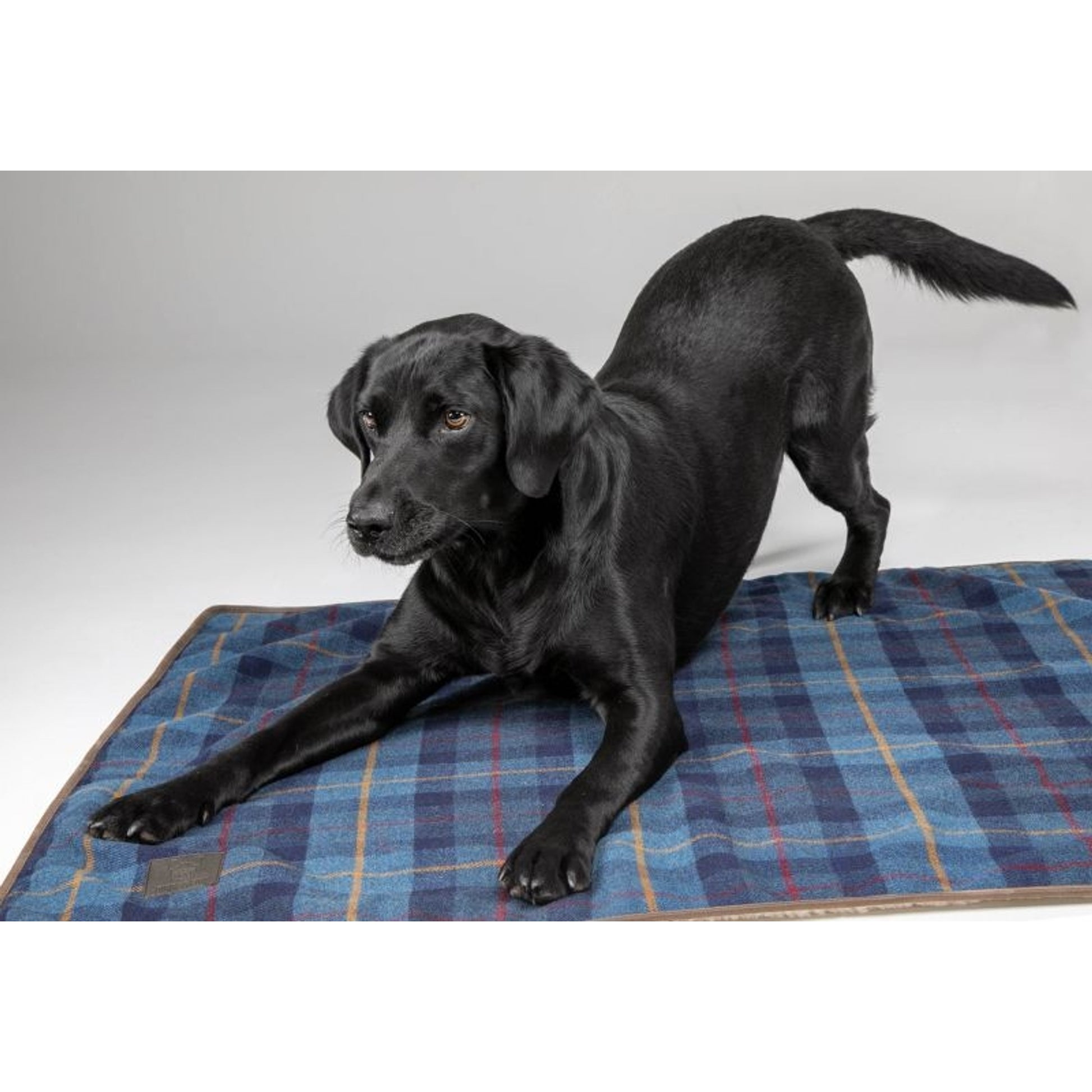 Shires Digby Fox Tweed Blanket