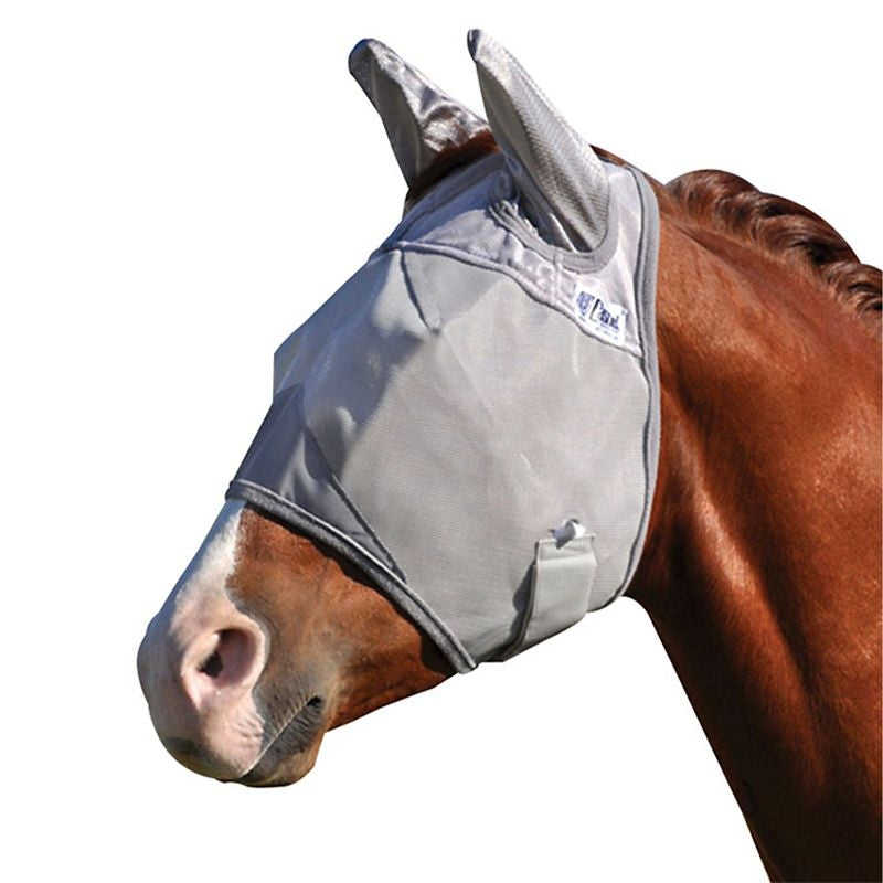 Fly Sheets, Boots & Masks