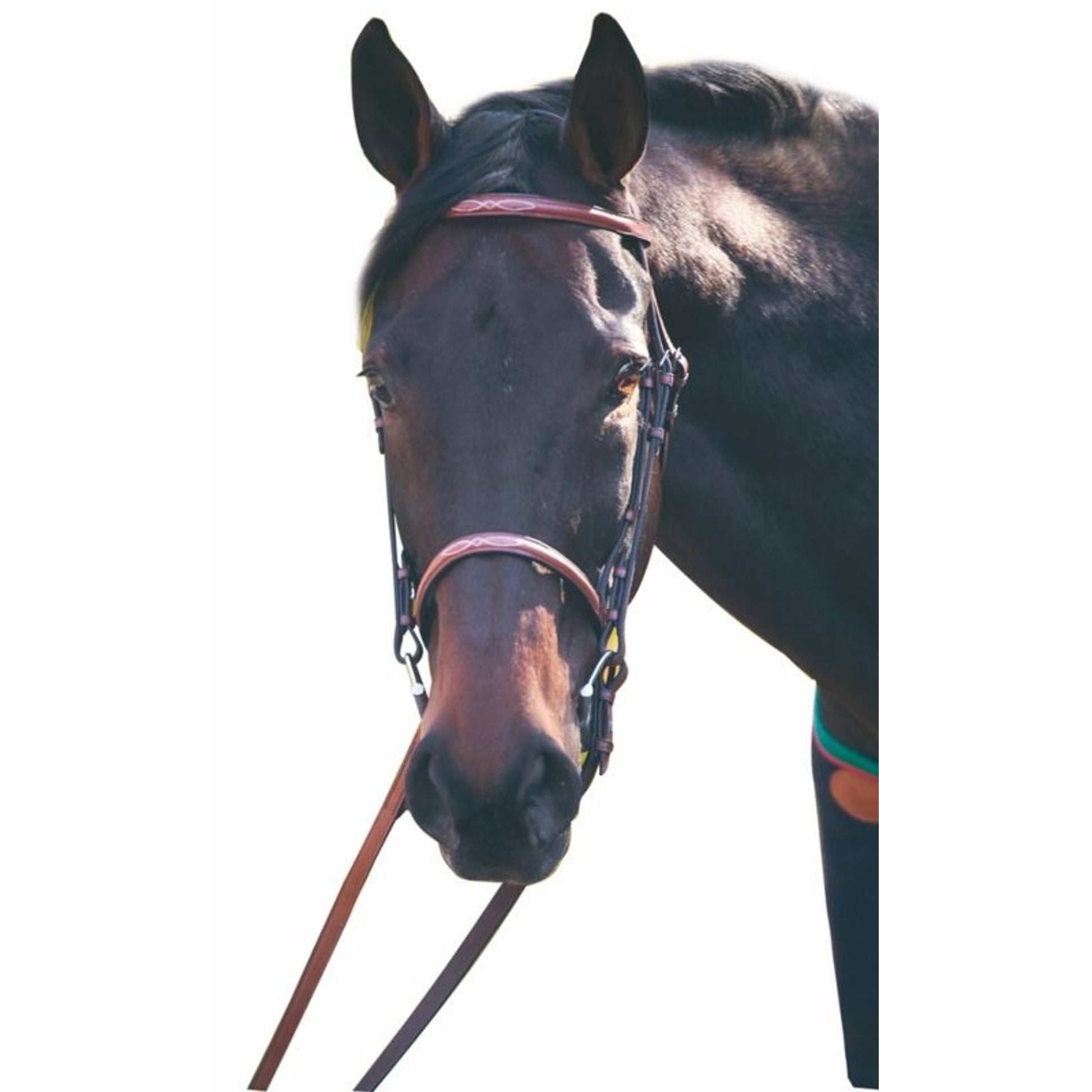 Henri De Rivel Advantage Bridle