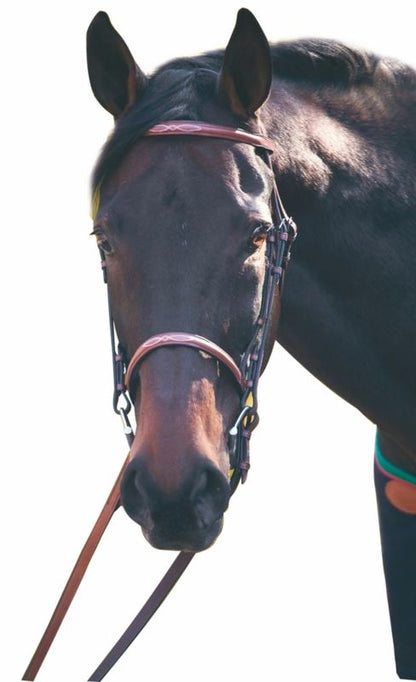 Henri De Rivel Advantage Bridle