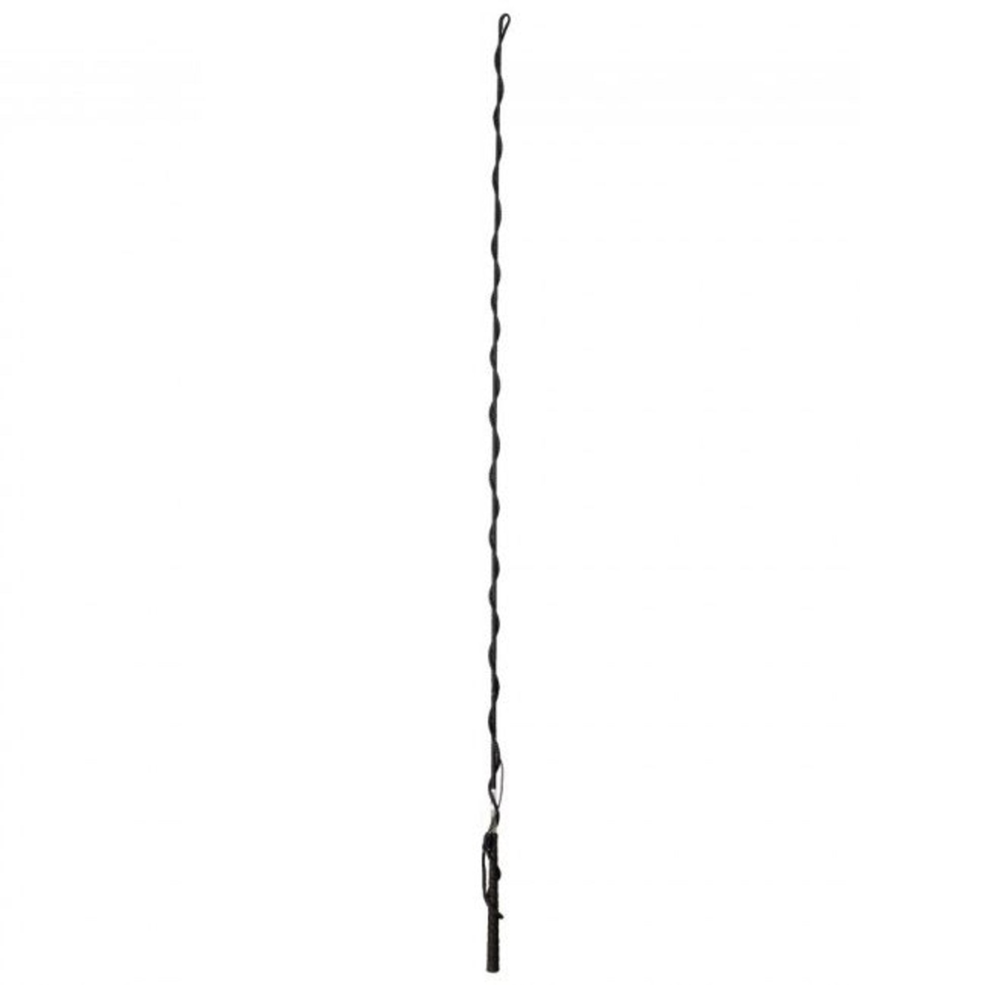Tough1 Nylon Lunge Whip