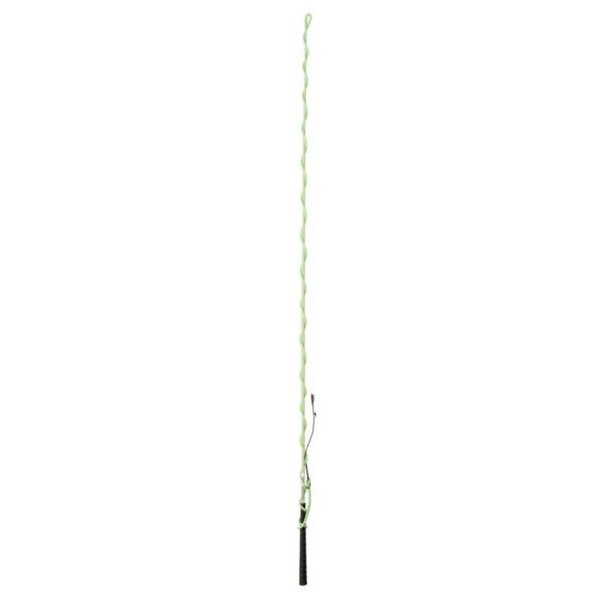 Tough1 Nylon Lunge Whip