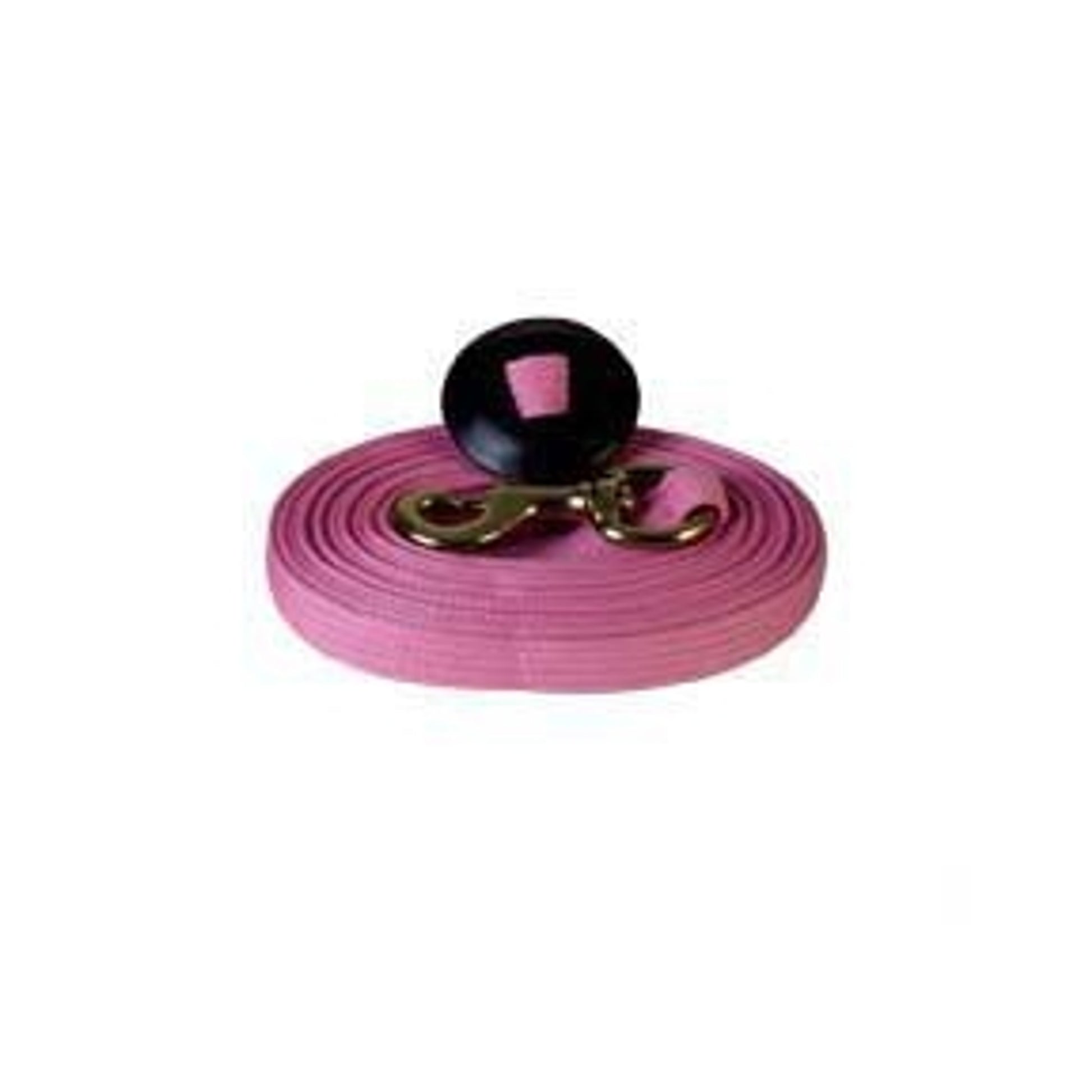 Basic Flat Cotton Web Lunge Line