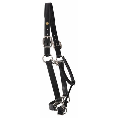 Henri de Rivel Pro Fancy Padded Rolled Throat Trip