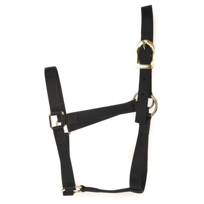 Basic 2-Ply Halter
