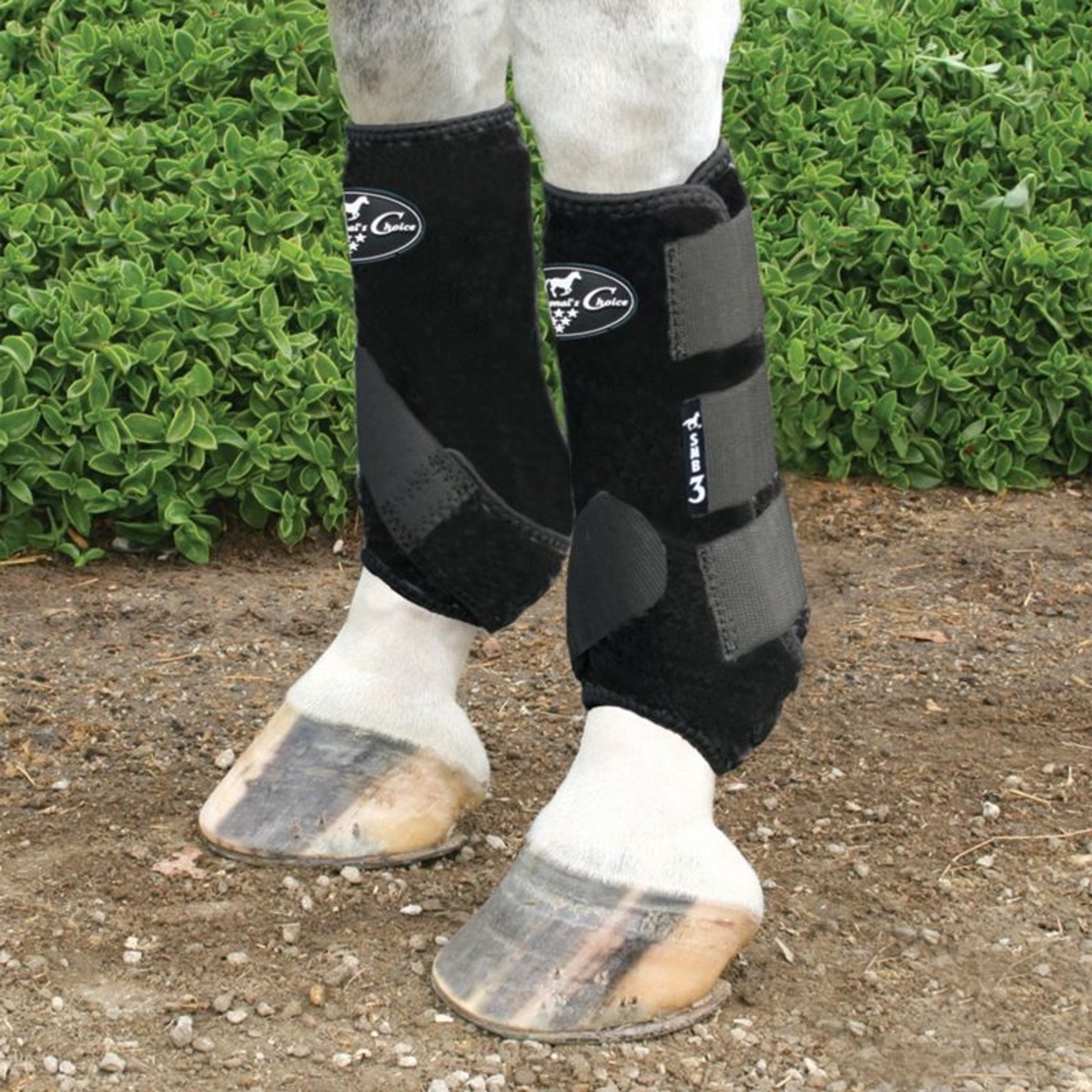 Professionals Choice SMB3 Boot 2-PK