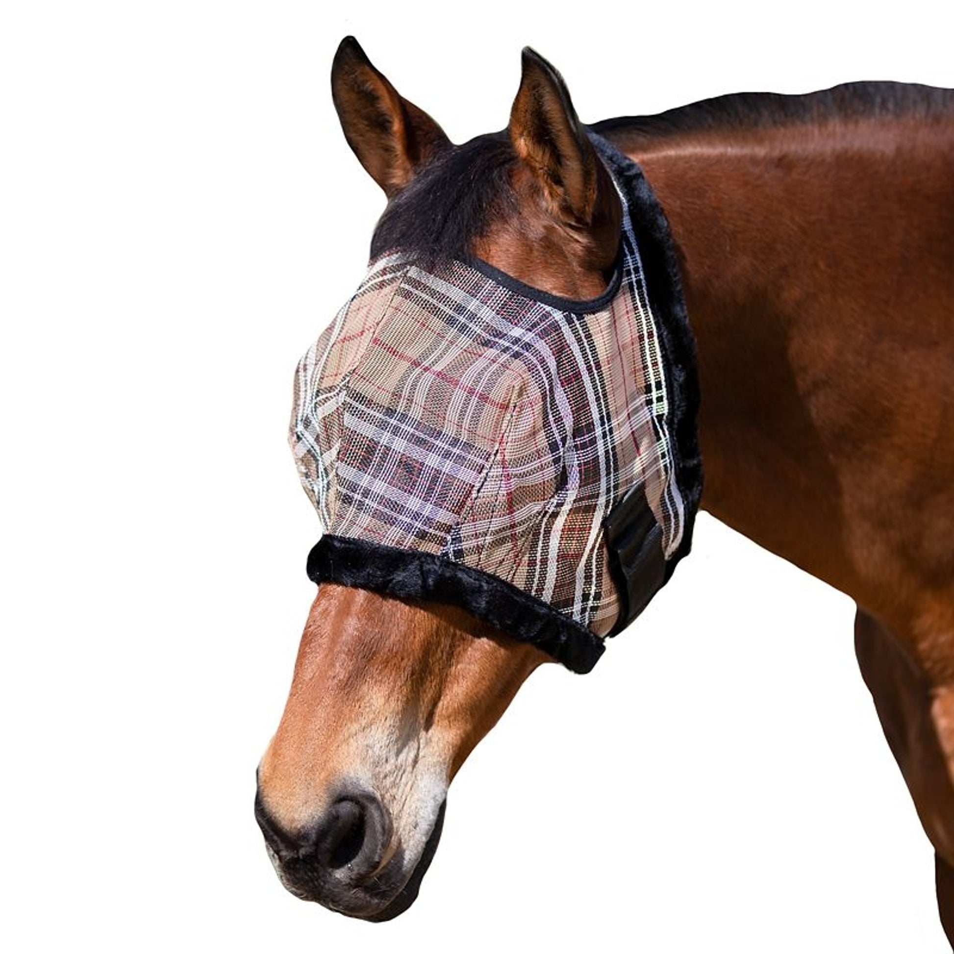 Kensington Fly Mask with Fleece Trim