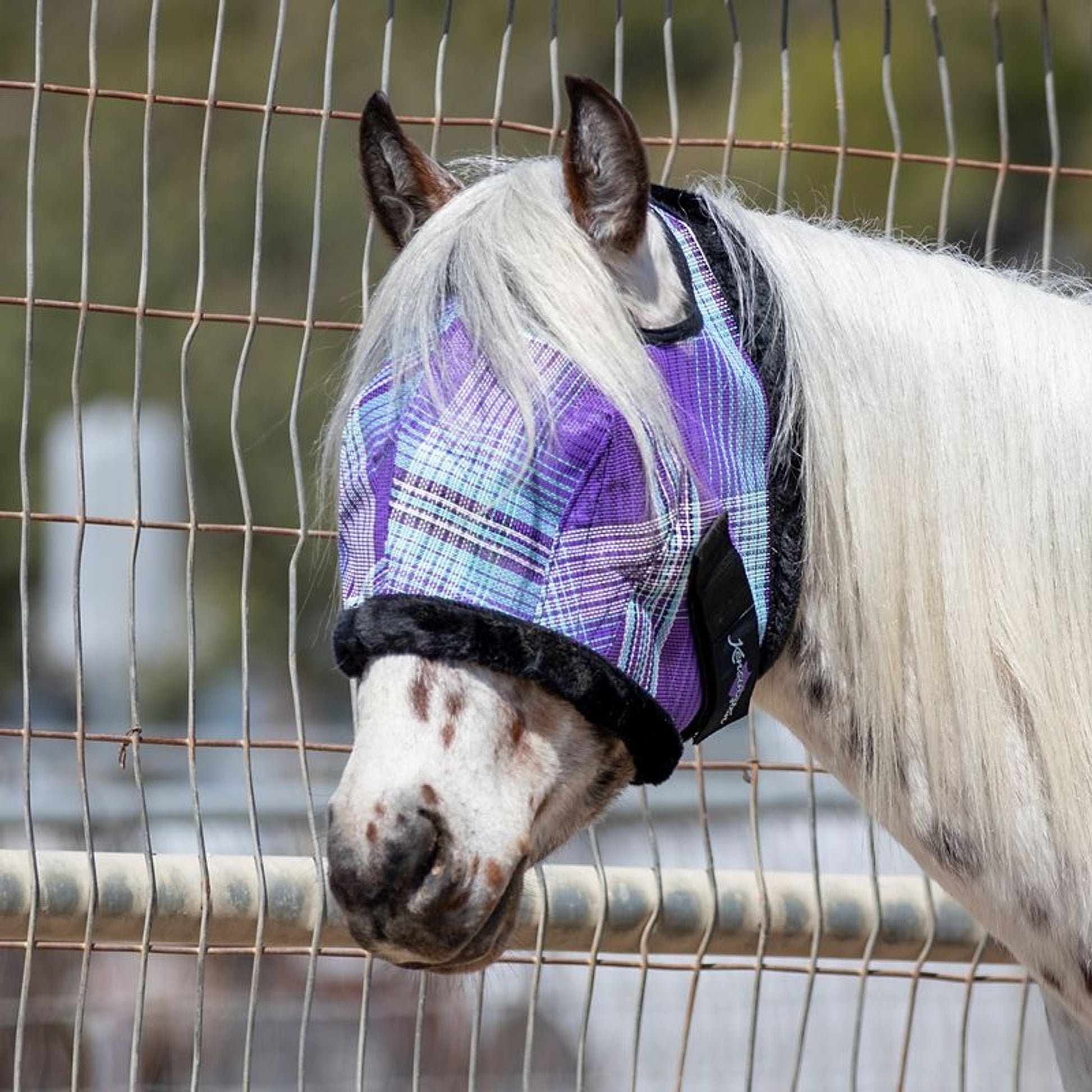 Kensington Fly Mask with Fleece Trim