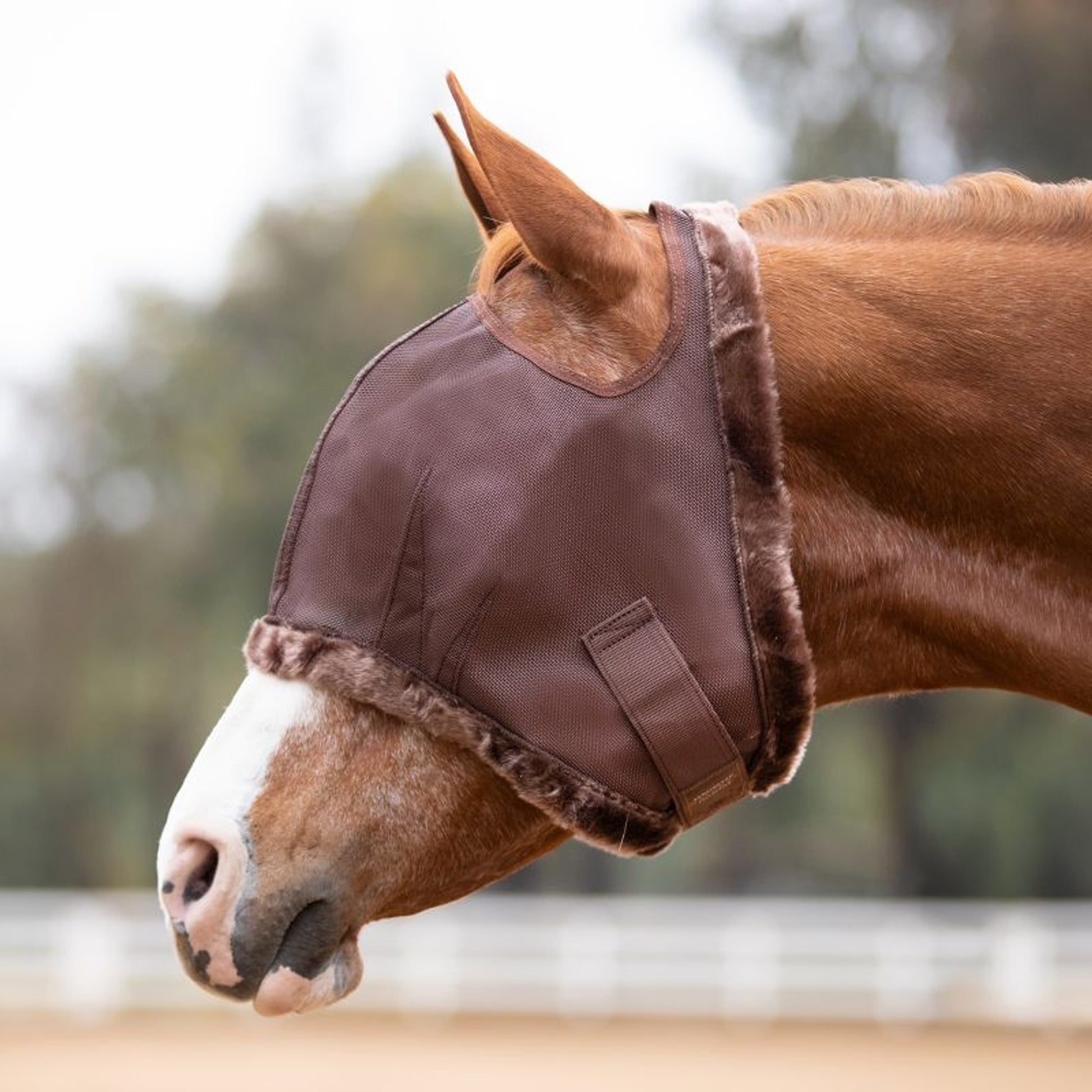Kensington Fly Mask with Fleece Trim