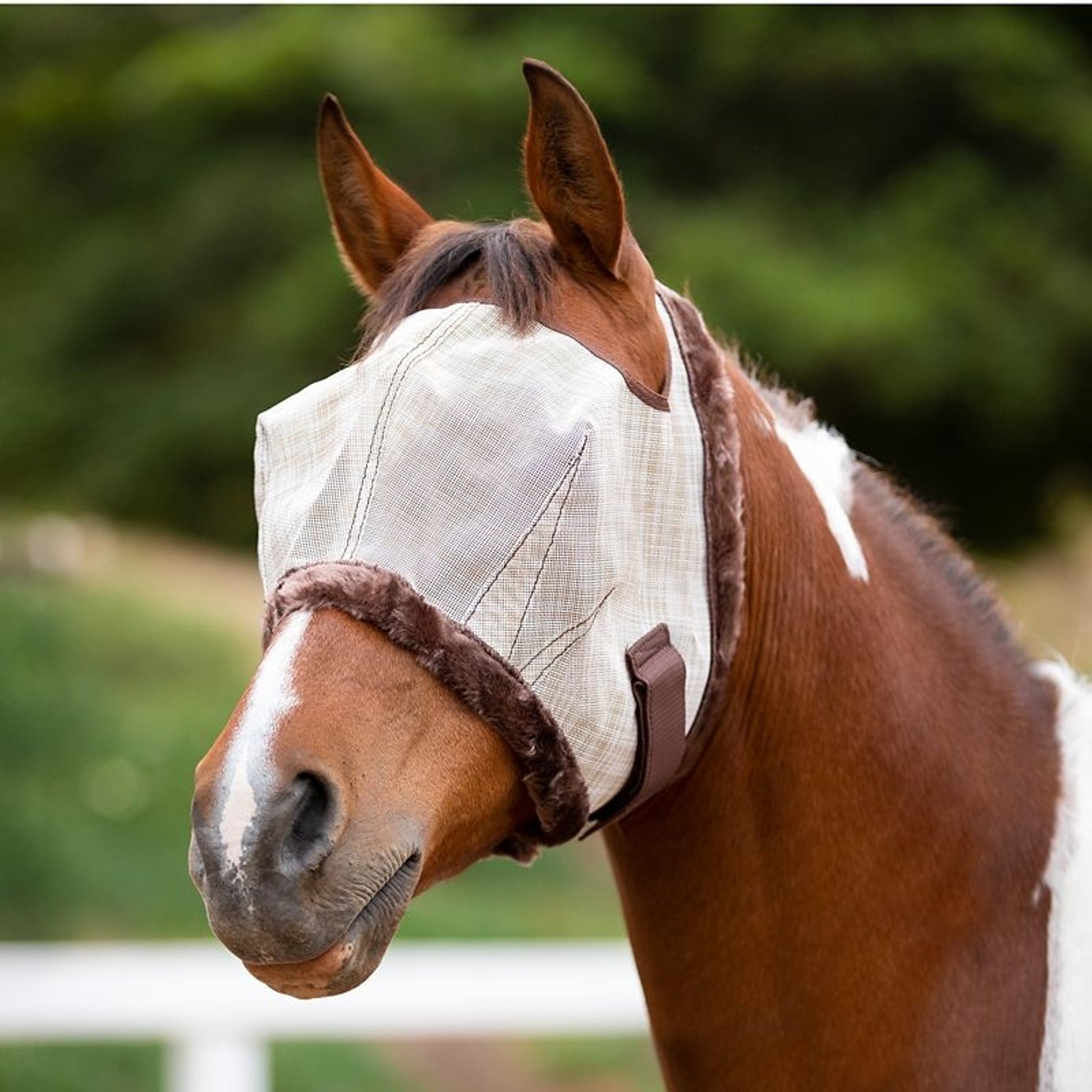 Kensington Fly Mask with Fleece Trim