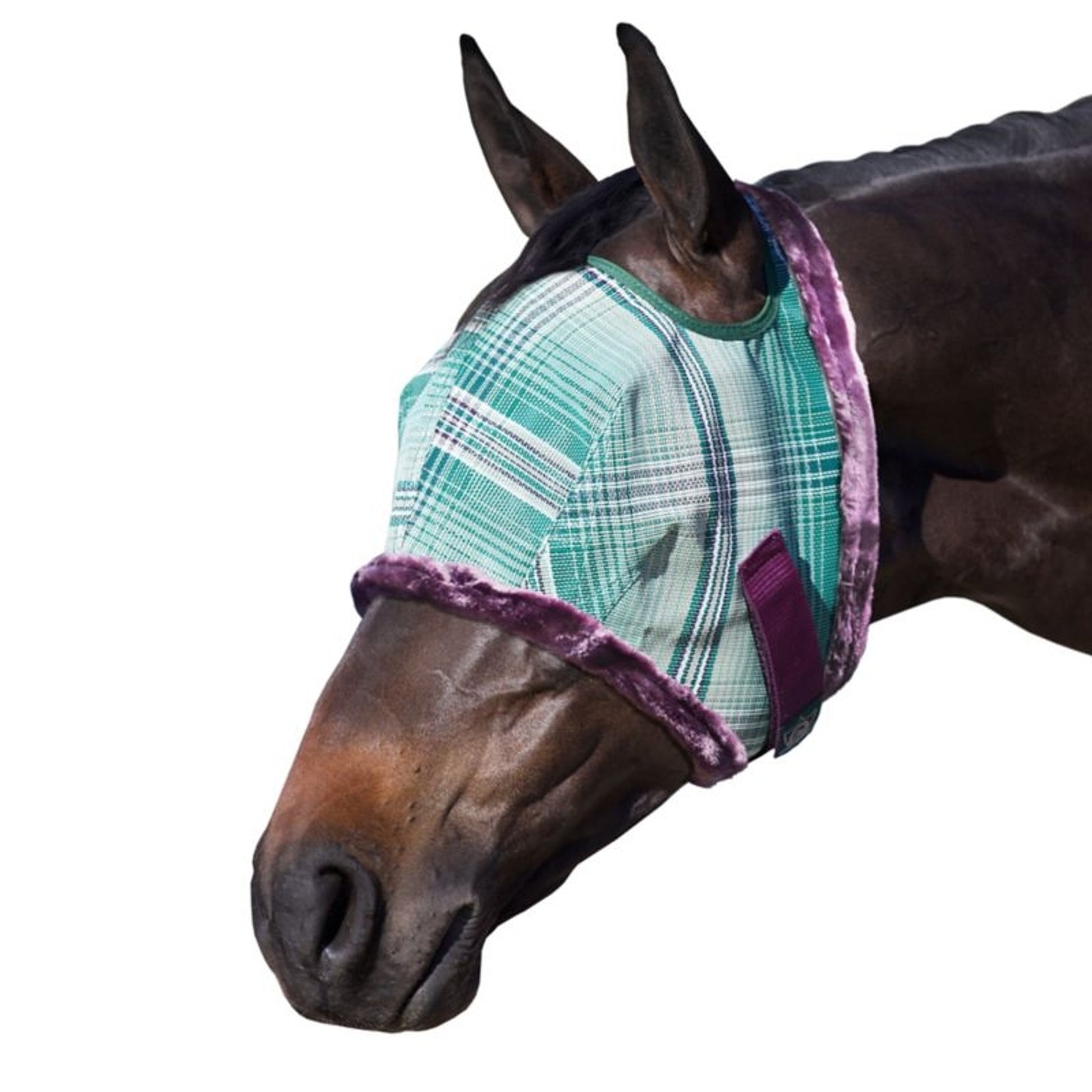 Kensington Fly Mask with Fleece Trim