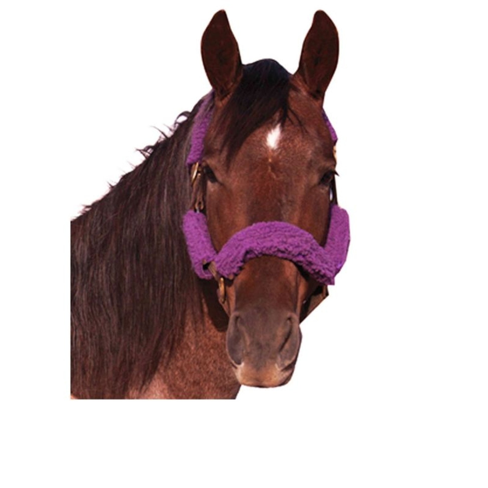 Basic Fleece 4-Piece Halter Tube Set