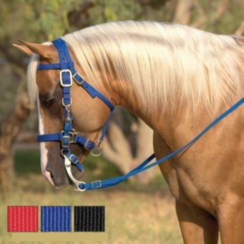 Triple E Nylon Halter Trail Bridle