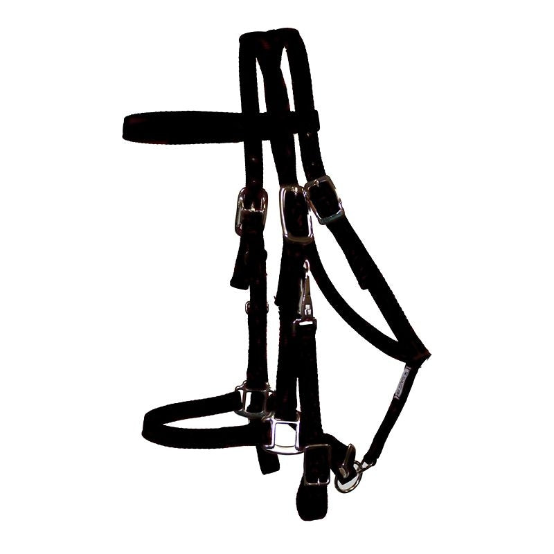 Triple E Nylon Halter Trail Bridle
