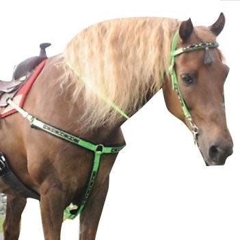 Triple E Nylon Southwest Trail Bridle