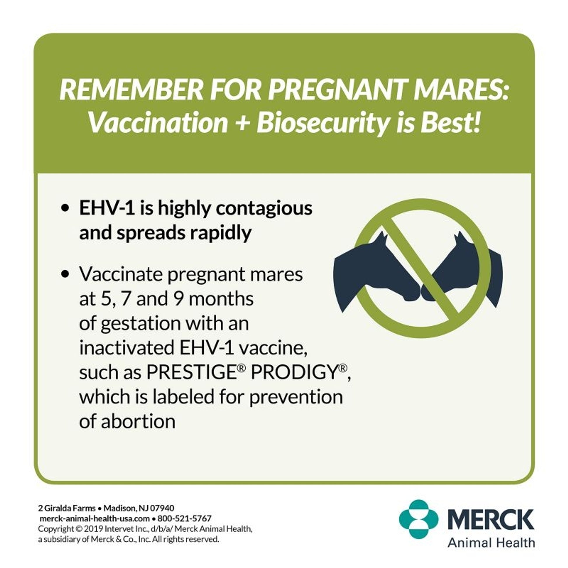 Merck Prestige Prodigy Vaccine Single Dose