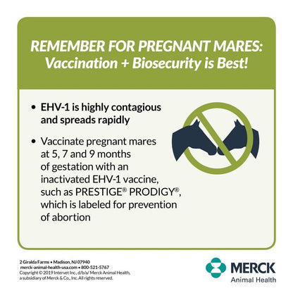 Merck Prestige Prodigy Vaccine Single Dose