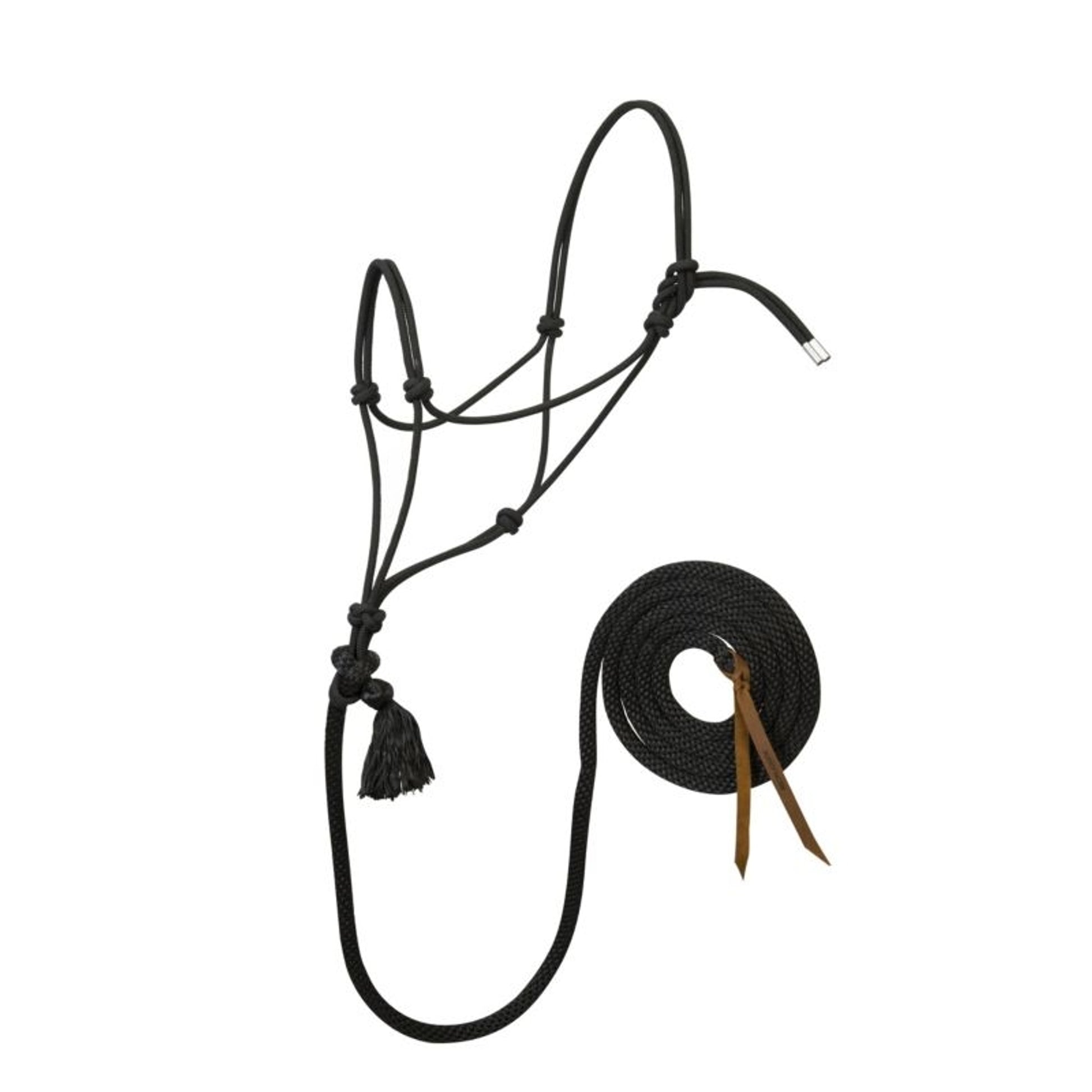 Silvertip No.95 Halter with 12ft Lead