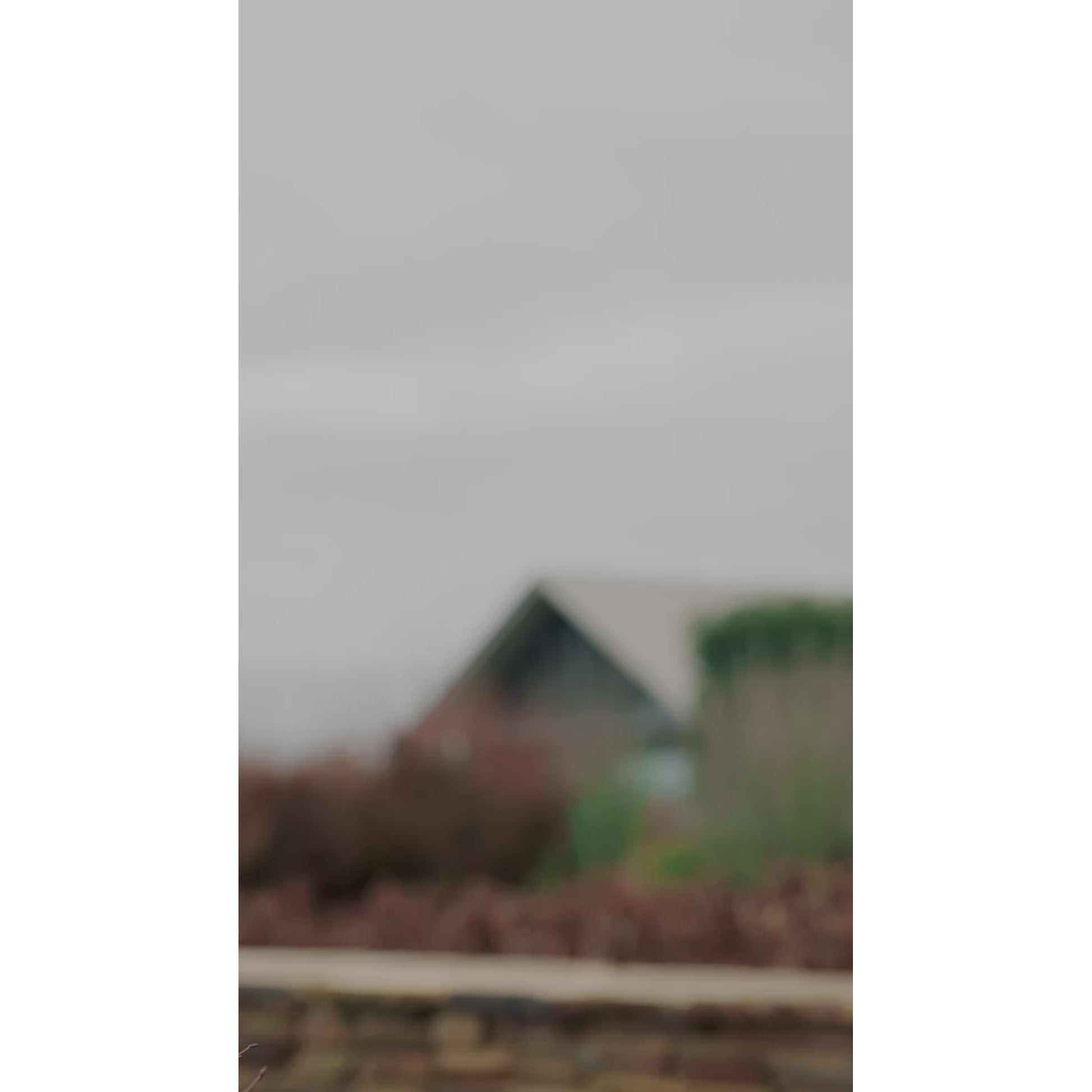 WeatherBeeta Plus Dynamic DAN Med