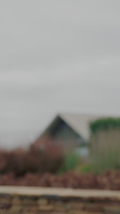 WeatherBeeta Plus Dynamic DAN Med